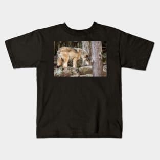 Eastern Timber Wolf Kids T-Shirt